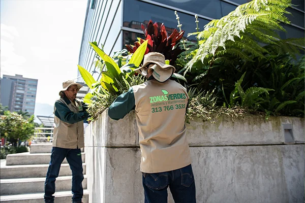 Zonas-Verdes-2