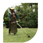 Zonas-Verdes-cesped-1