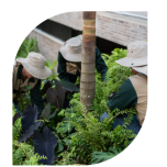 Zonas-Verdes-mantenimiento-1