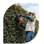 Zonas-Verdes-setas-1